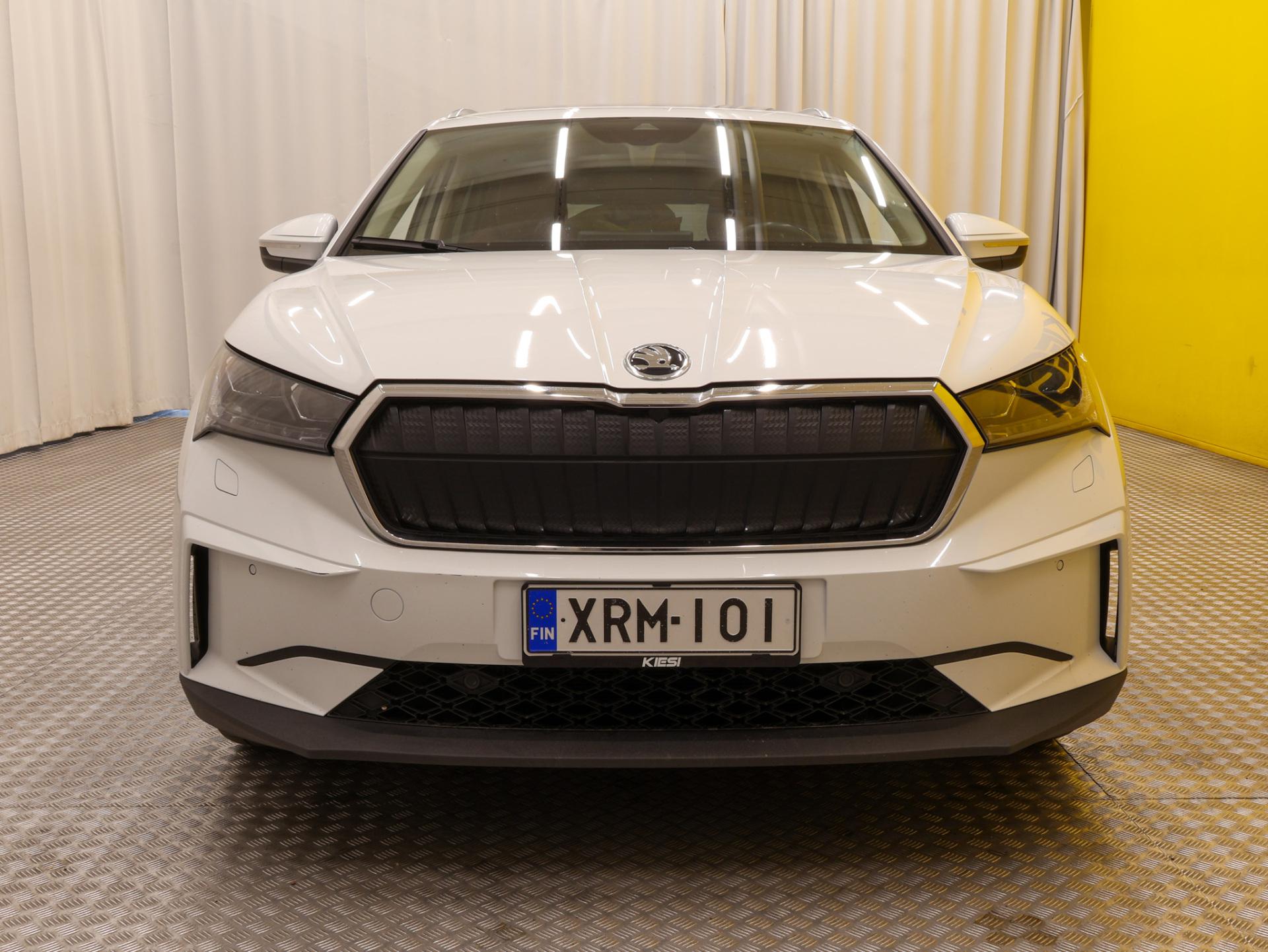 XRM-101-7-image